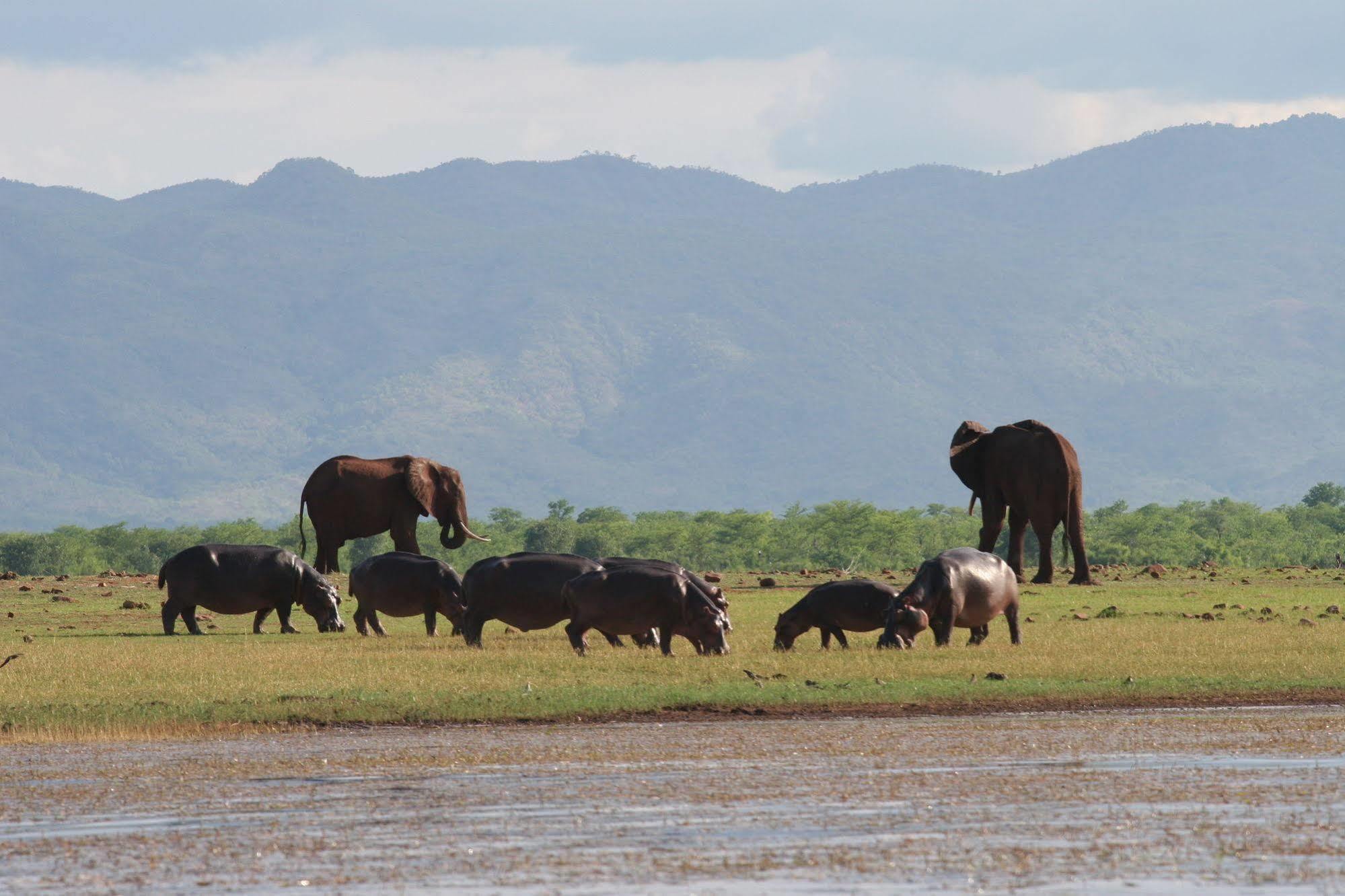 Changa Safari Camp Matusadona National Park Екстериор снимка